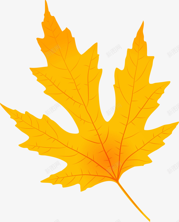 唯美黄色枫叶png免抠素材_88icon https://88icon.com 唯美枫叶 枫叶标本 梦幻枫叶 飘落 黄色叶子 黄色枫叶 黄色落叶