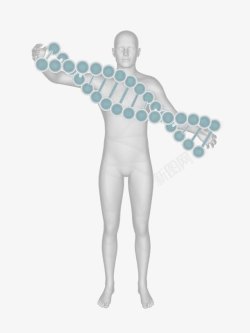 基因模型三维人体模型高清图片
