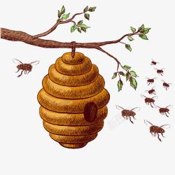 卡通蜜蜂窝卡通蜂巢与蜜蜂高清图片