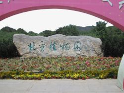 旅游景区北京植物园素材