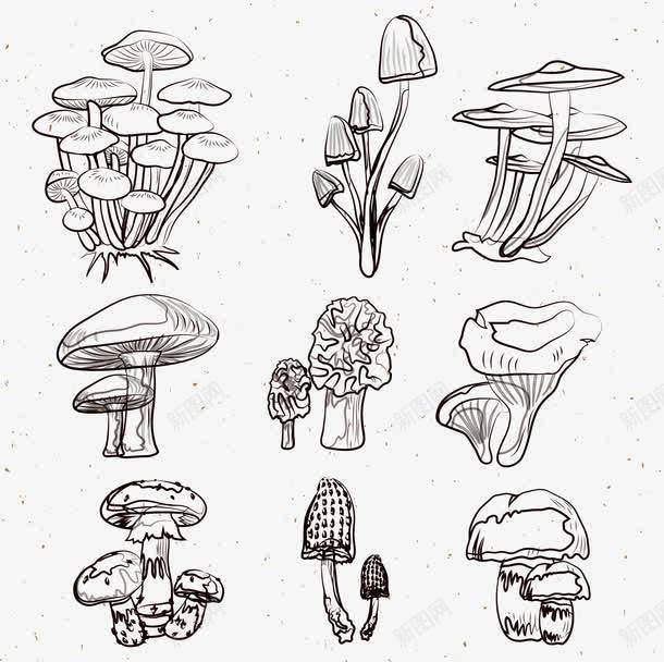 手绘蘑菇集合png免抠素材_88icon https://88icon.com 卡通 手绘 样式 矢量PNG 素描 蘑菇 金针菇