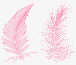 粉色清新羽毛装饰图案素材