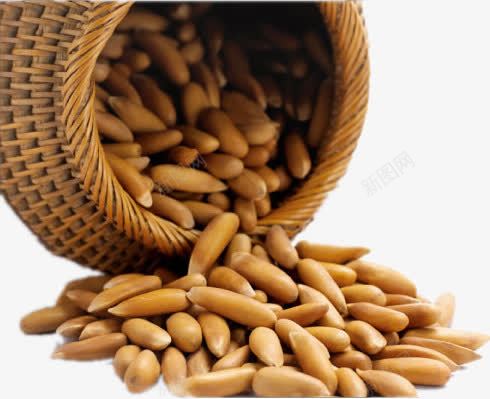 竹篮里的坚果png免抠素材_88icon https://88icon.com 巴西 松子 棕色 特色 竹篮