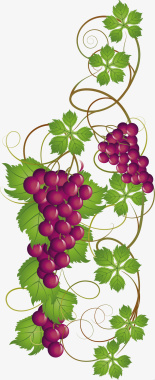 ai图卡通葡萄食物元素图标图标