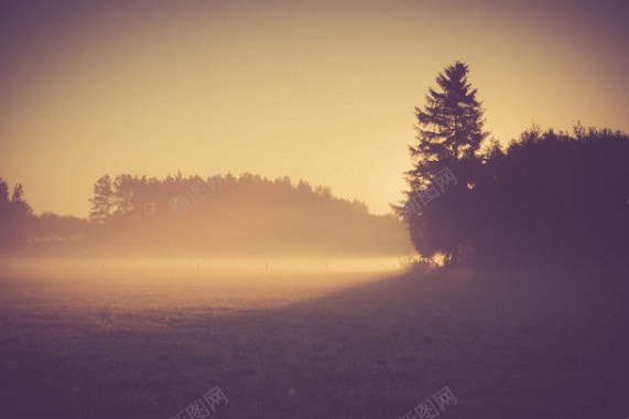 草地树林清晨风景背景