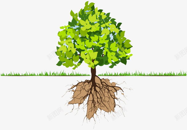 一棵绿树的地上地下png免抠素材_88icon https://88icon.com 大树 枝叶 树枝 树根 根部 植物根系 生长 绿叶 绿树 草地