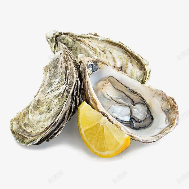 海蛎子png免抠素材_88icon https://88icon.com 柠檬片 水产品 海蛎子 海鲜 生蚝 美味
