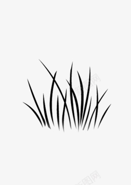 黑白绘画植物图标图标