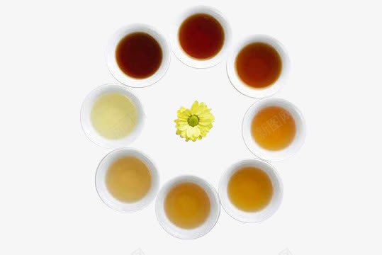 保健茶饮png免抠素材_88icon https://88icon.com 乌龙茶 普洱 红茶 绿茶 菊花 铁观音