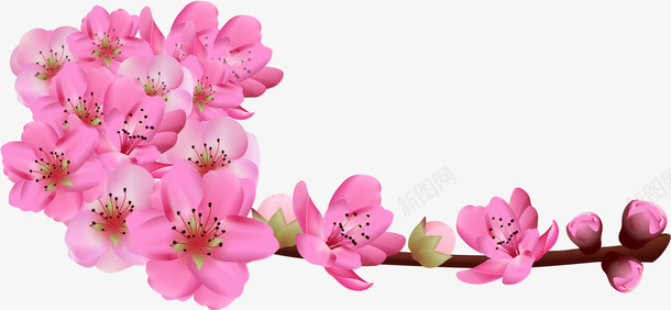 粉色樱花png免抠素材_88icon https://88icon.com 树枝 植物 樱花枝 粉红色 花朵