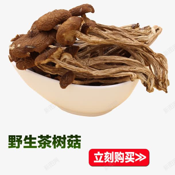 野生茶树菇png免抠素材_88icon https://88icon.com 产品实物 干货 茶树菇 菌类 菌菇干货