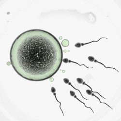 生物学研究精子高清图片