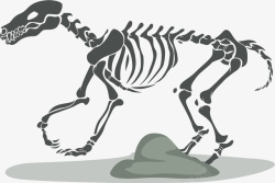 化石扁平风格恐龙矢量图素材