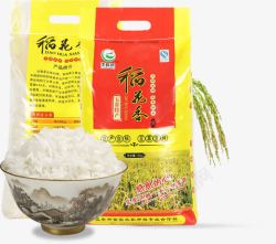 稻米香大米素材
