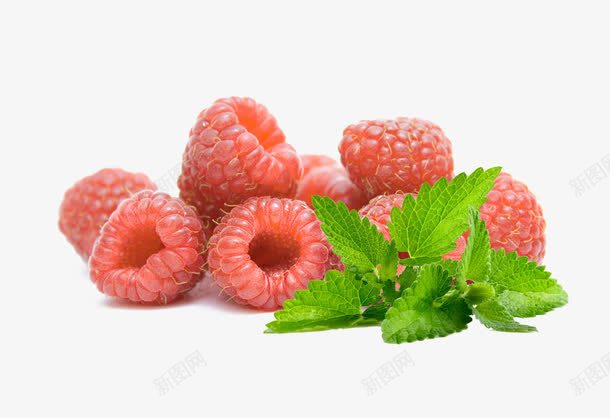 一堆野草莓png免抠素材_88icon https://88icon.com 一堆野草莓图 叶子 水果 野草莓