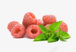 一堆草莓一堆野草莓高清图片