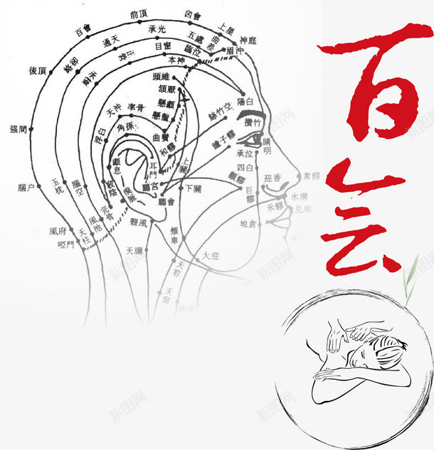 头部穴位矢量图ai免抠素材_88icon https://88icon.com 人体经络 人体经脉图 人体设计 十二 卡通设计 手绘设计 矢量图 经络图 背部