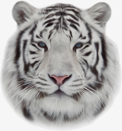 凶猛的老虎素材