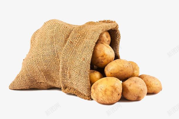 麻袋里倒出的土豆png免抠素材_88icon https://88icon.com 一堆土豆 袋子 食材原料 马铃薯 麻袋