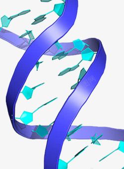DNA分子结构素材