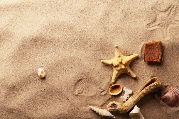 沙滩上的海星与贝壳jpg设计背景_88icon https://88icon.com 其它类别 别克 图片素材 沙滩 沙滩上的海星与贝壳图片 沙滩上的海星与贝壳图片素材下载 海星 海螺 背景花边