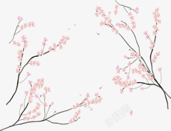 日本樱花节樱花树枝素材