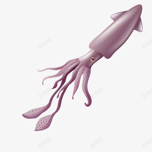 卡通鱿鱼海底动物png免抠素材_88icon https://88icon.com 动物设计 海底动物 海洋动物 生物 章鱼 鱿鱼