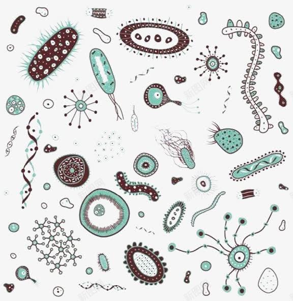 手绘细菌png免抠素材_88icon https://88icon.com 放大倍数细菌 显微镜下的细菌 显微镜细胞 硝化细菌 细菌图片 细菌试验 超级细菌