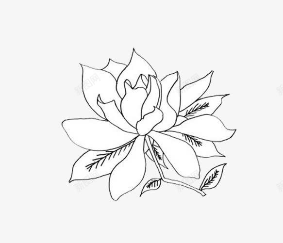 栀子花简笔画png免抠素材_88icon https://88icon.com 卡通 栀子花 简笔画 花朵