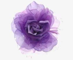 矢量紫色玫瑰紫色的玫瑰花高清图片