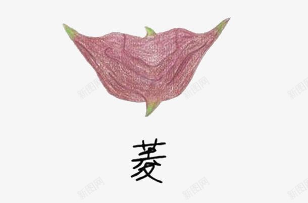 菱角荸荠png免抠素材_88icon https://88icon.com 手绘 水果 红 荸荠 菱角 蔬菜 马蹄子 马蹄形