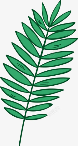 绿色热带植物叶子素材