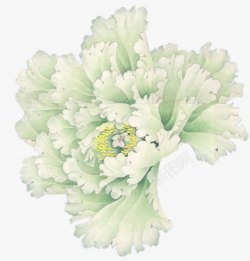 摄影创意白色的海棠花素材
