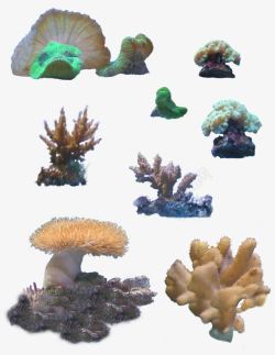 海底世界各种植物素材