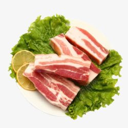 猪带骨五花肉条素材