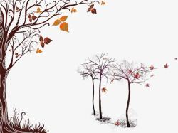 北美枫叶树秋天树木高清图片