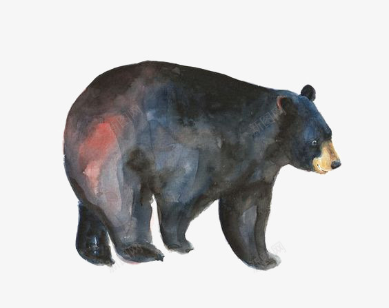 水彩黑熊png免抠素材_88icon https://88icon.com 动物 卡通黑熊 手绘黑熊 抓气球的熊 熊插画 狗熊 行走的熊