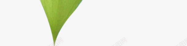 实物一片嫩绿色叶子png免抠素材_88icon https://88icon.com 叶子 嫩绿色叶子 广告设计 摄影 海报设计 清新文艺绿叶 清新装饰 绿叶 绿叶装饰插画