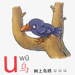 手绘乌鸦汉语拼音之u高清图片