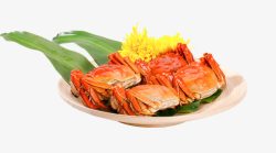 大闸蟹螃蟹中秋食物素材