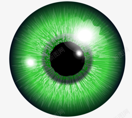 眼球眼睛形3图标图标