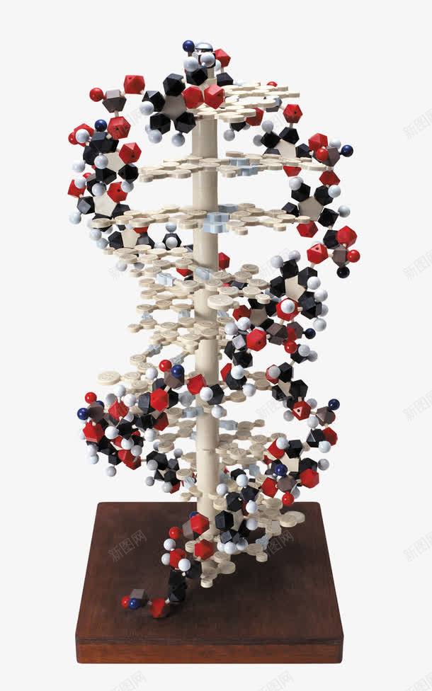 生物模型片png免抠素材_88icon https://88icon.com DNA 基因链 模型 黑红色 黑红色系