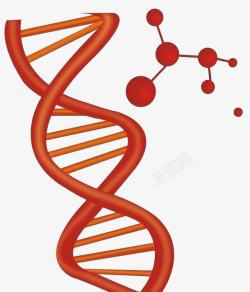 红色DNA双螺旋基因链图形素材