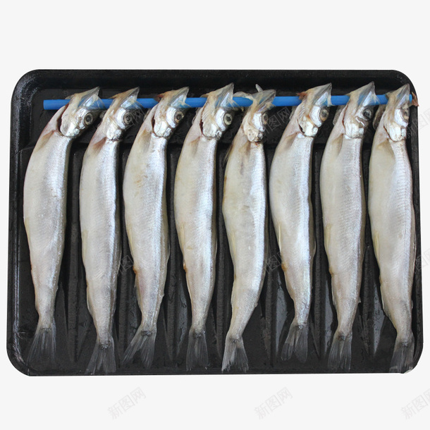 烧烤专用新鲜冷冻深海多春鱼8条png免抠素材_88icon https://88icon.com 多春鱼 小鱼 水产 海鲜 烧烤专用新鲜冷冻深海多春鱼8条装免费下载 生鲜 进口多春鱼 鱼 鱼类