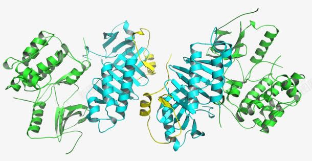 蛋白质结构png免抠素材_88icon https://88icon.com 氨基酸 生物 结构 蛋白质 蛋白质分子 蛋白质结构