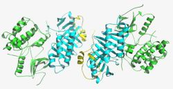 蛋白质结构蛋白质结构高清图片