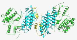 蛋白质结构素材