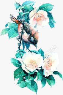 鲜花花香栀子花与小鸟高清图片