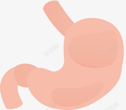 心人体器官胃图标图标