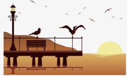 野生海鸟观景台上的信天翁高清图片